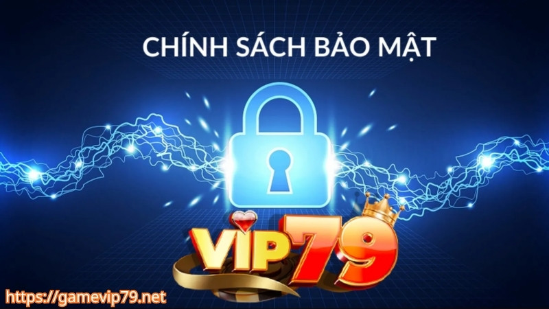 Tầm quan trọng của chính sách bảo mật VIP79